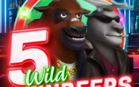 5 Wild Reindeers