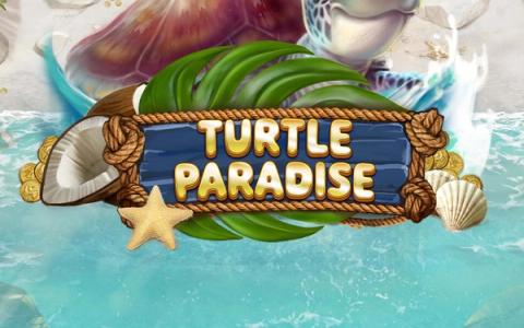 Turtle Paradise