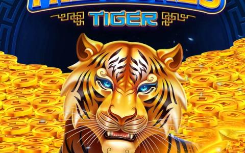 Magic Treasure Tiger