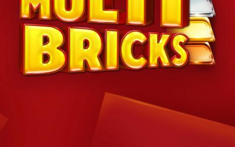 Multi Bricks