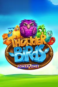 Power Zones: Thunder Birds