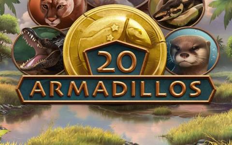 20 Armadillos