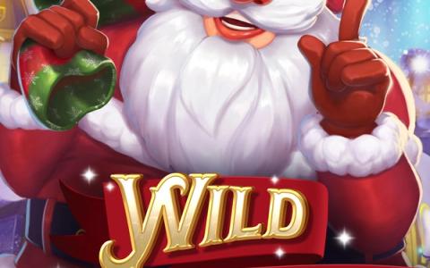 Wild Stockings