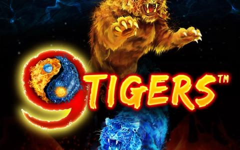 9 Tigers