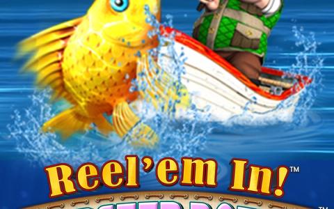 Reel em In Lobster Potty