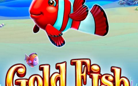 Gold Fish Feeding Time
