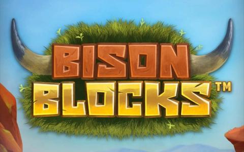 Bison Blocks