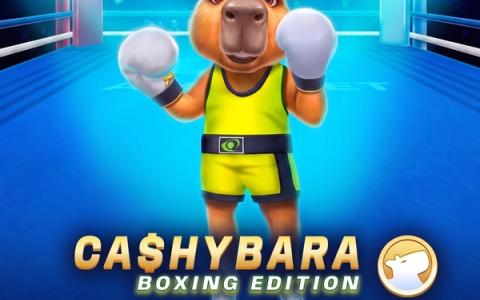 Cashybara Boxing Edition