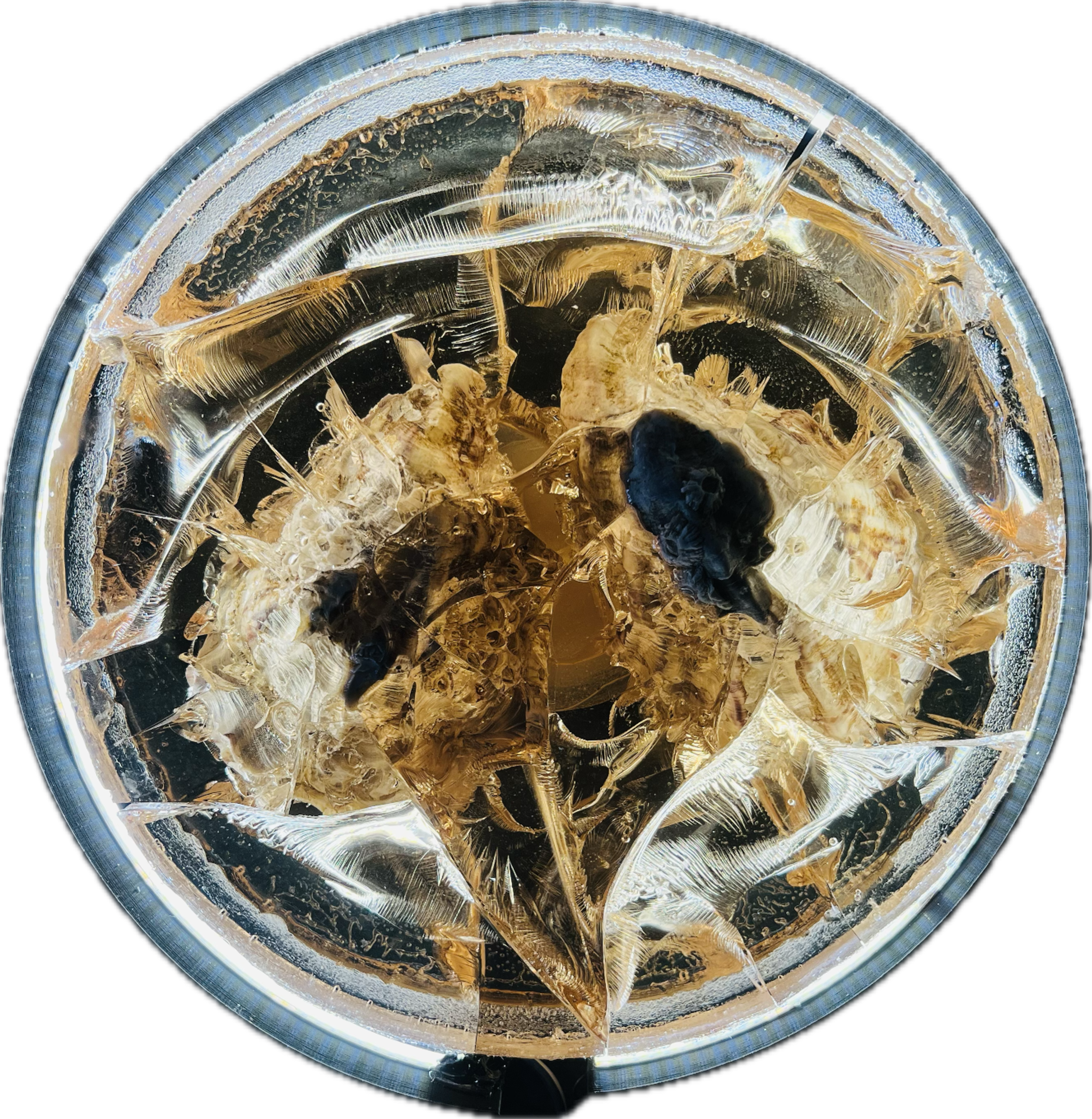 Image 17 from Moonies