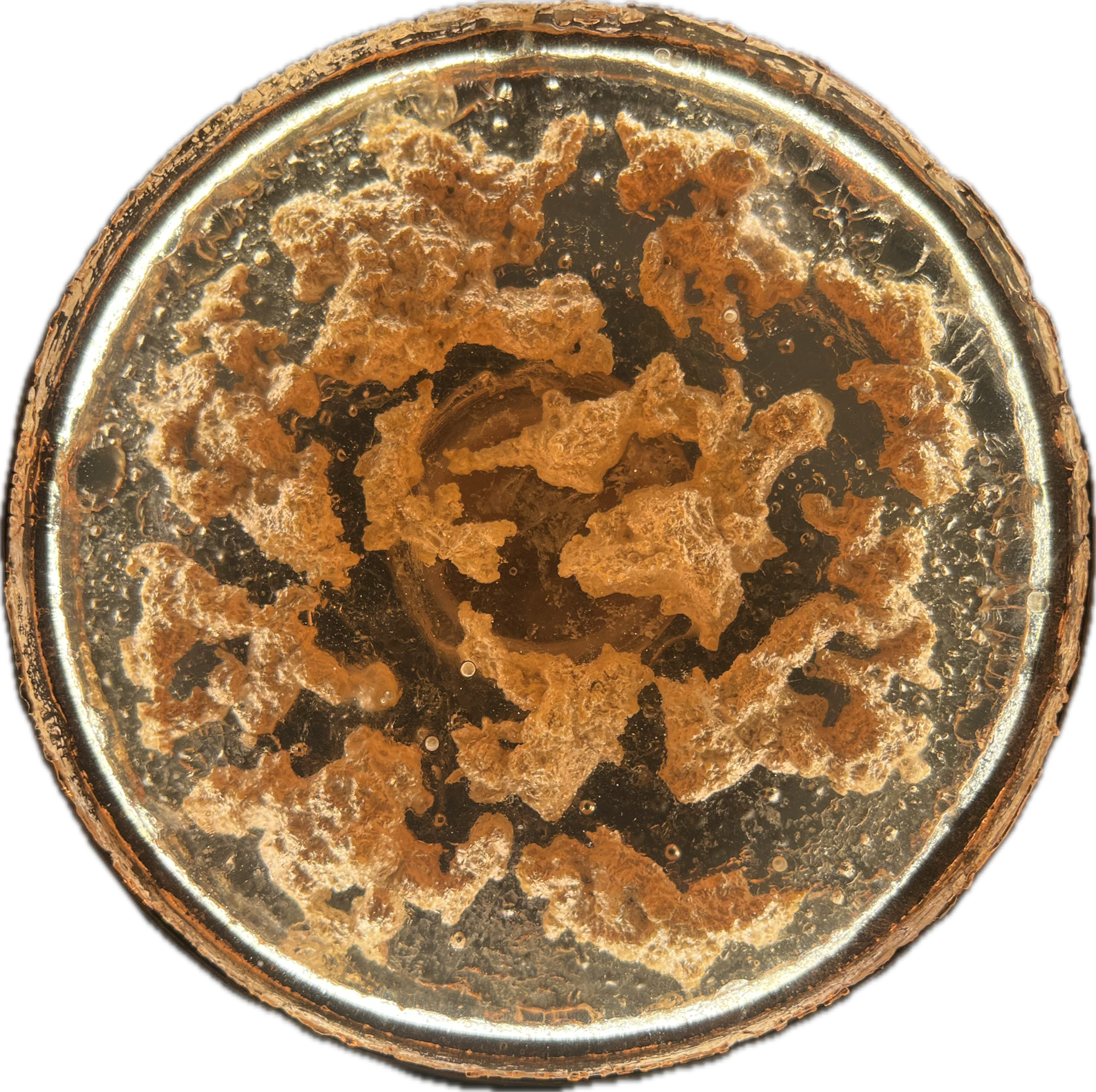 Image 5 from Moonies