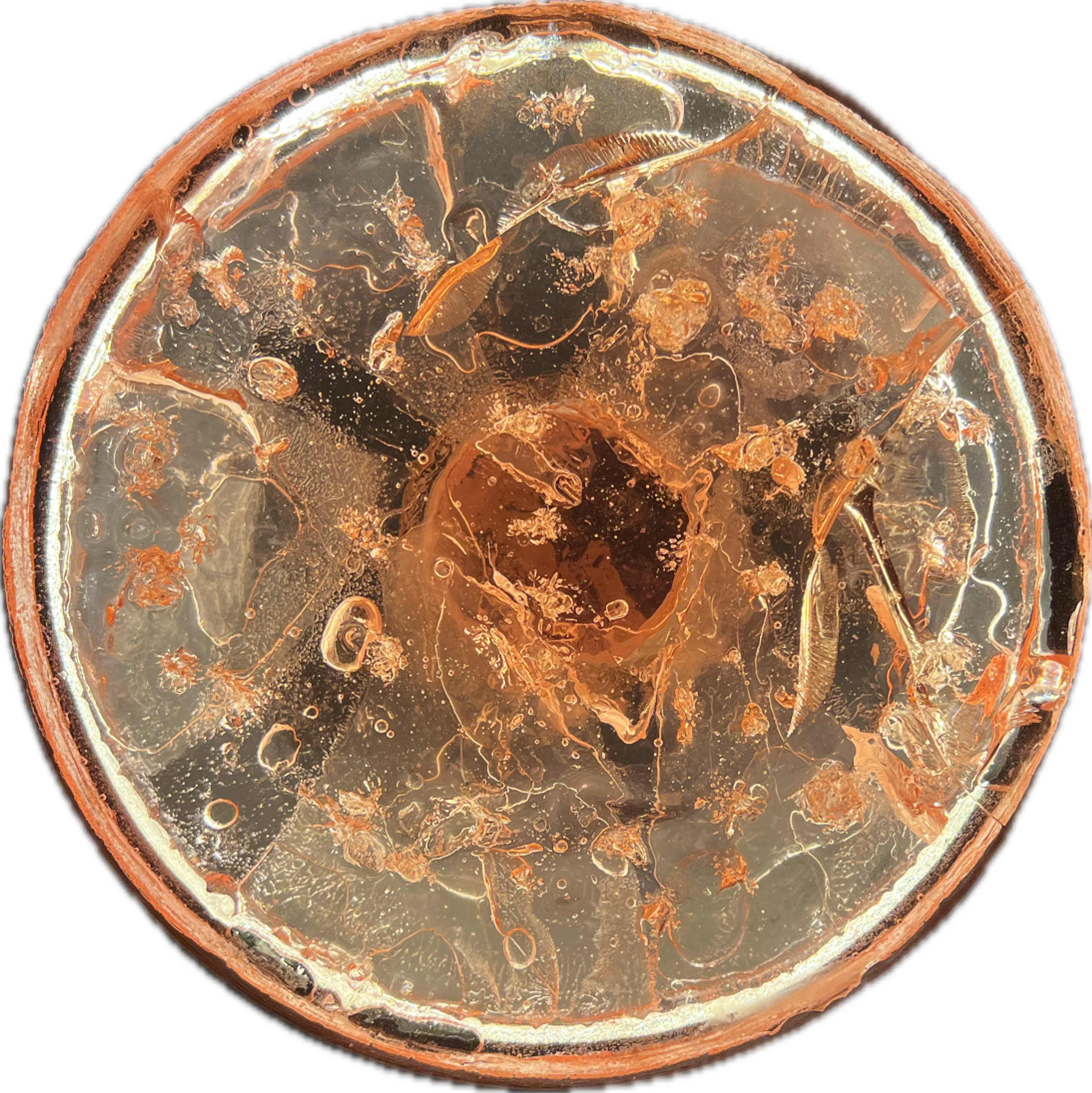 Image 9 from Moonies