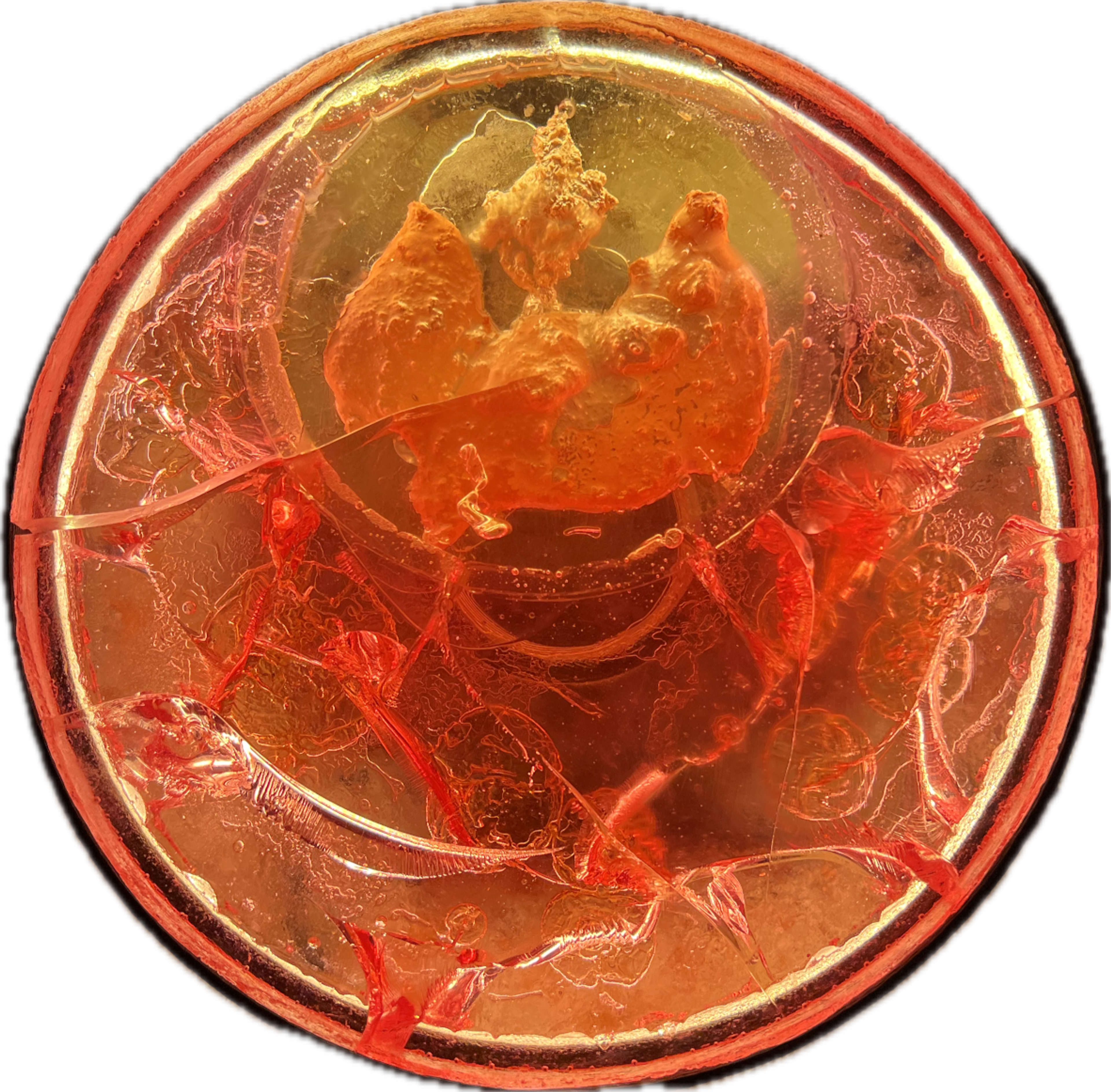 Image 19 from Moonies