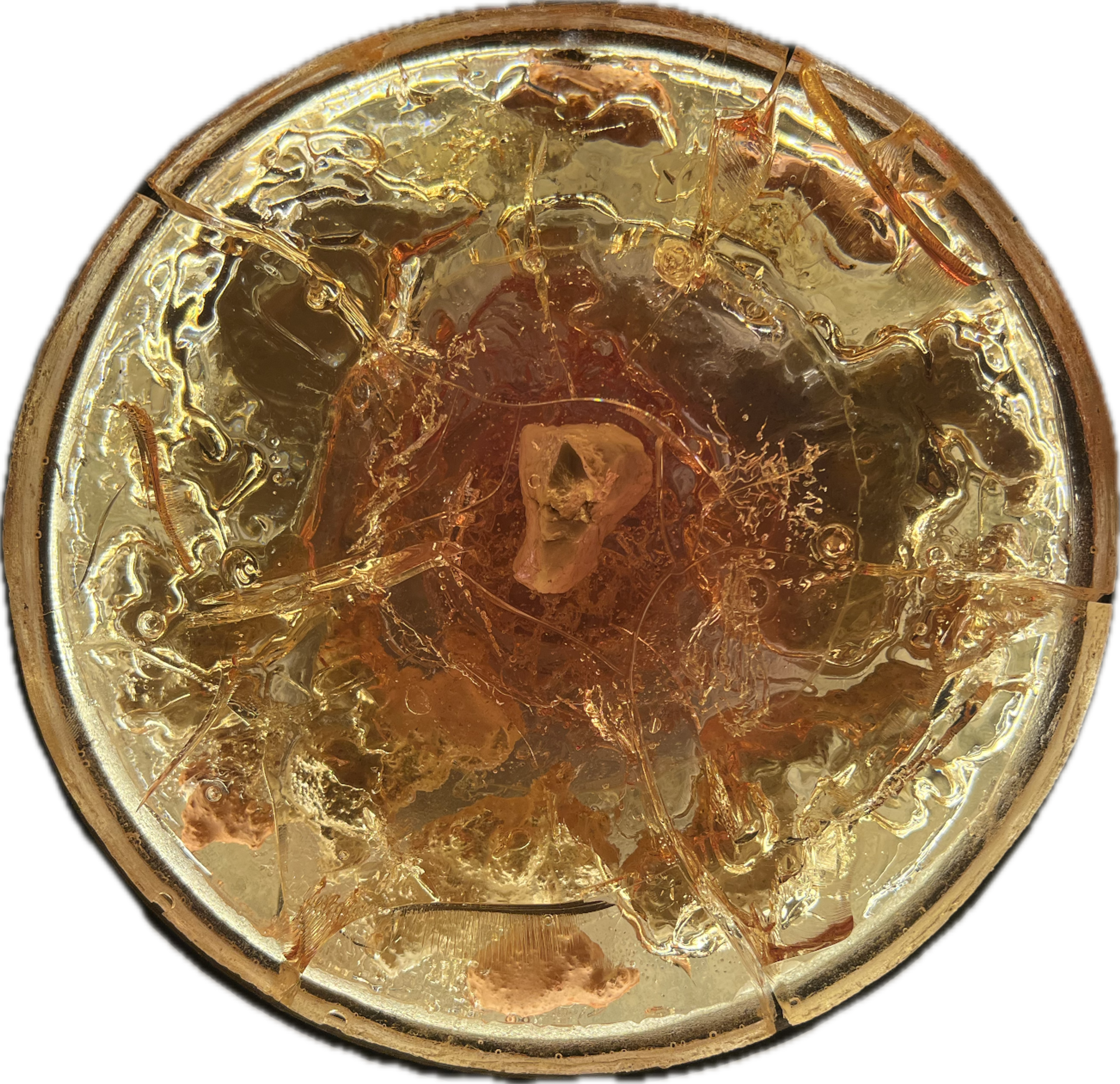 Image 18 from Moonies