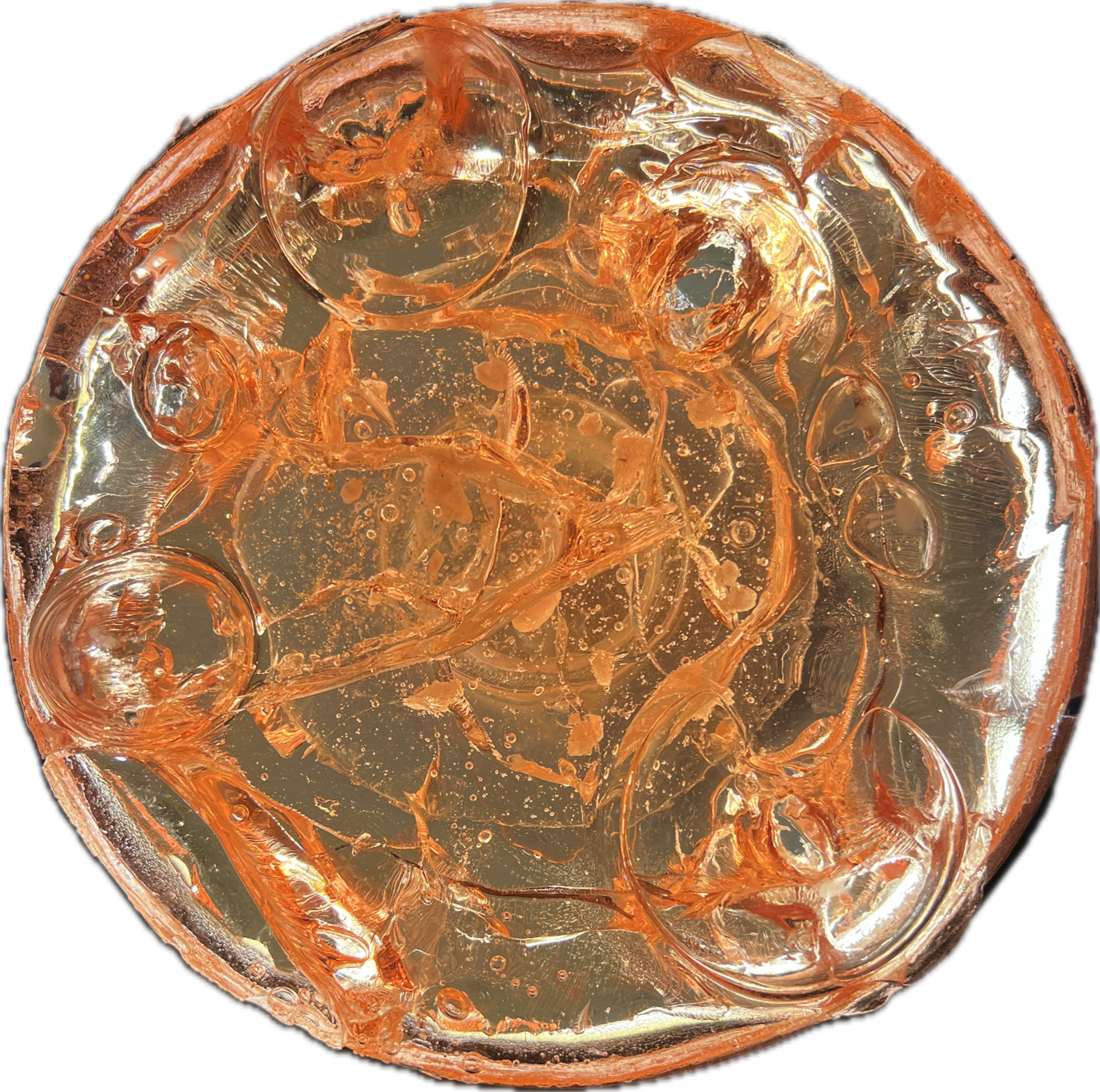 Image 2 from Moonies