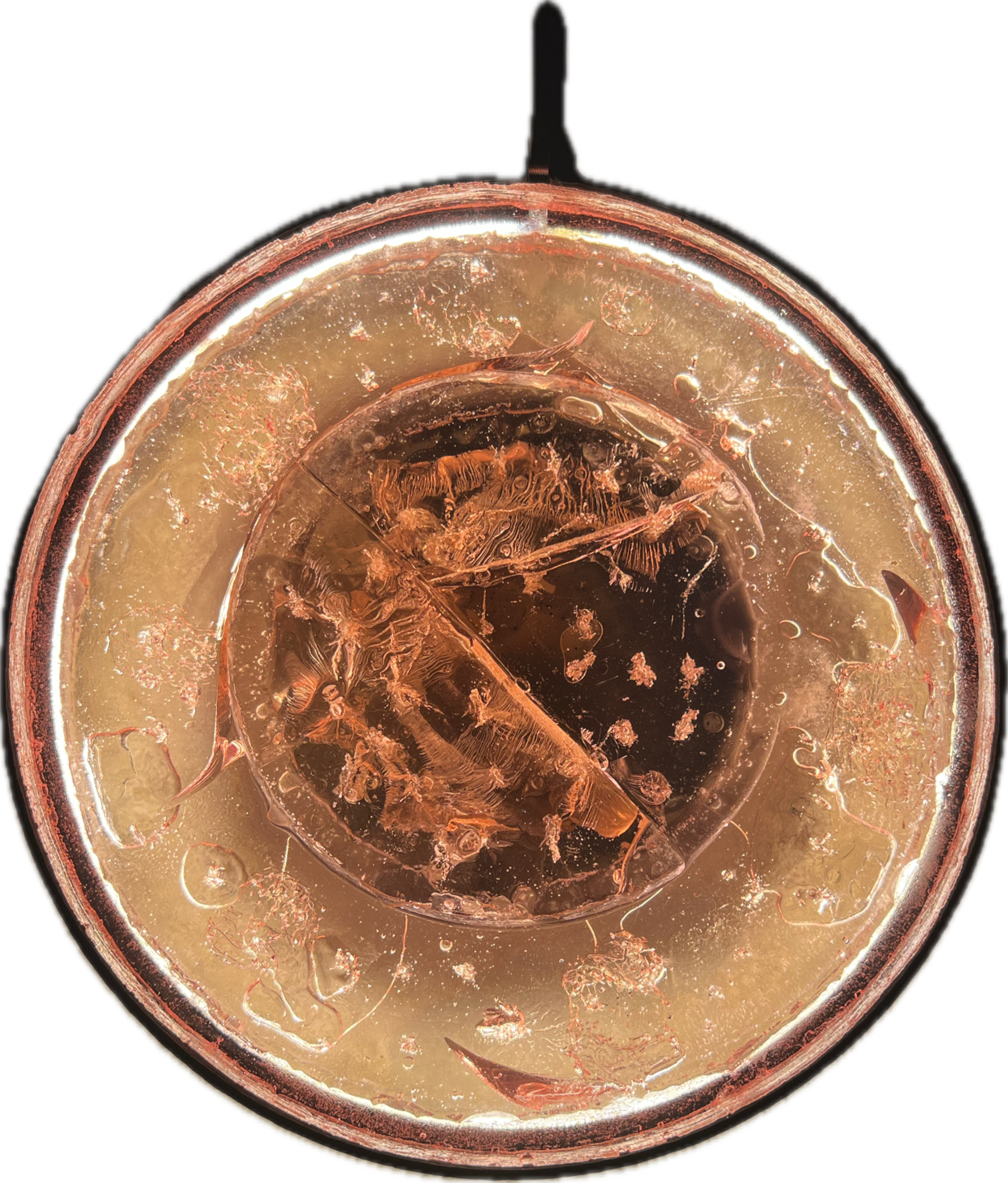 Image 14 from Moonies