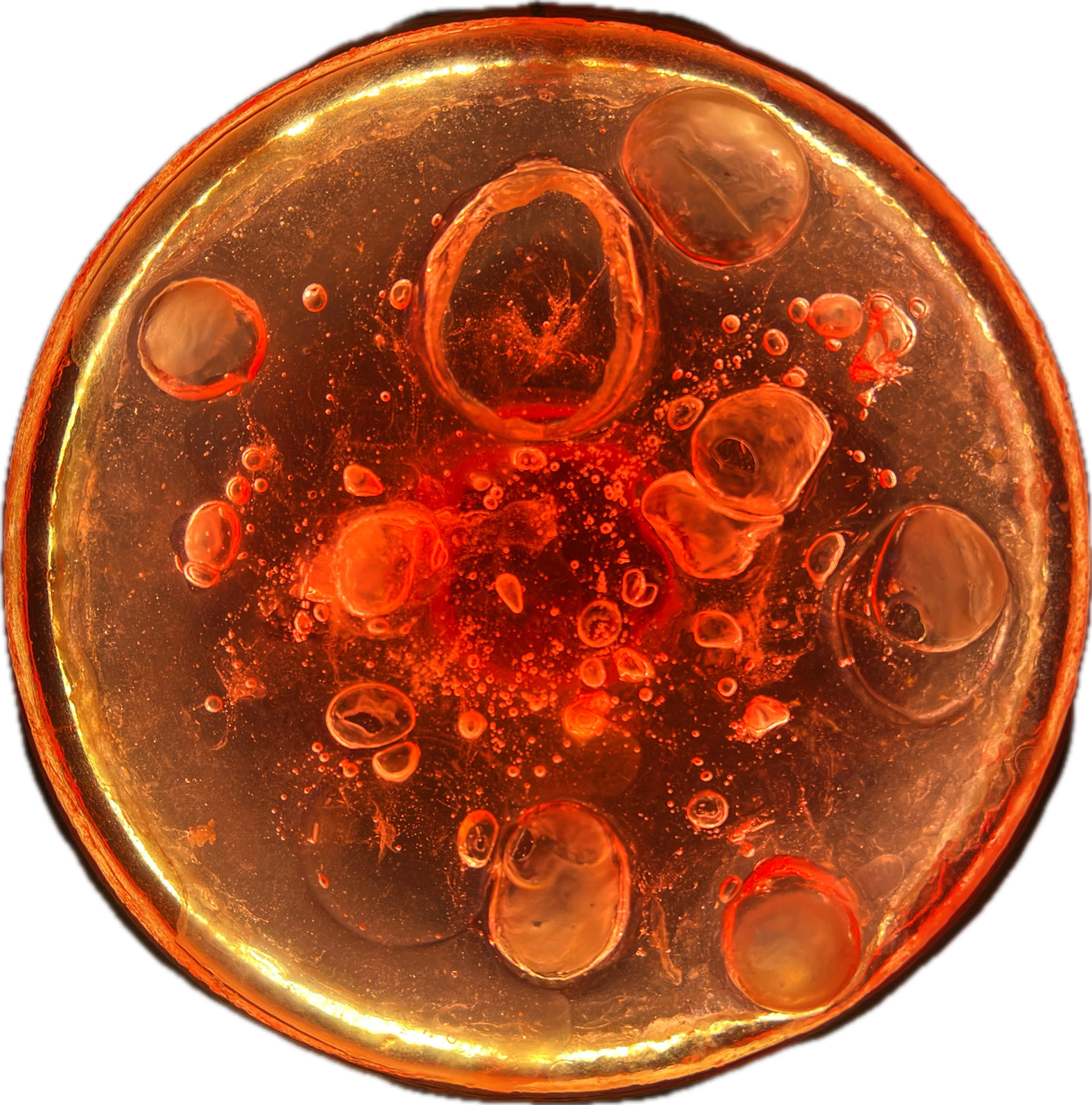 Image 1 from Moonies