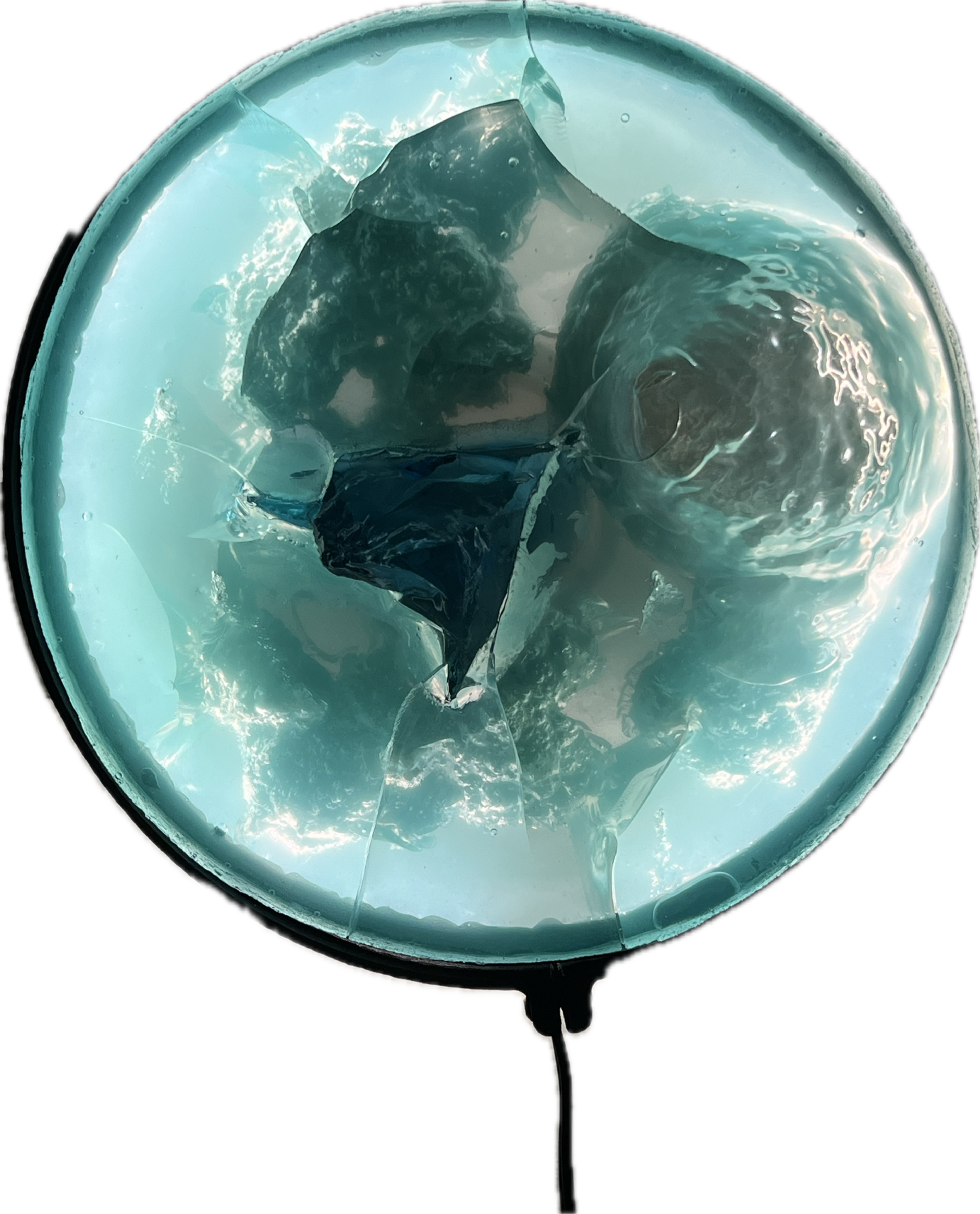 Image 13 from Moonies