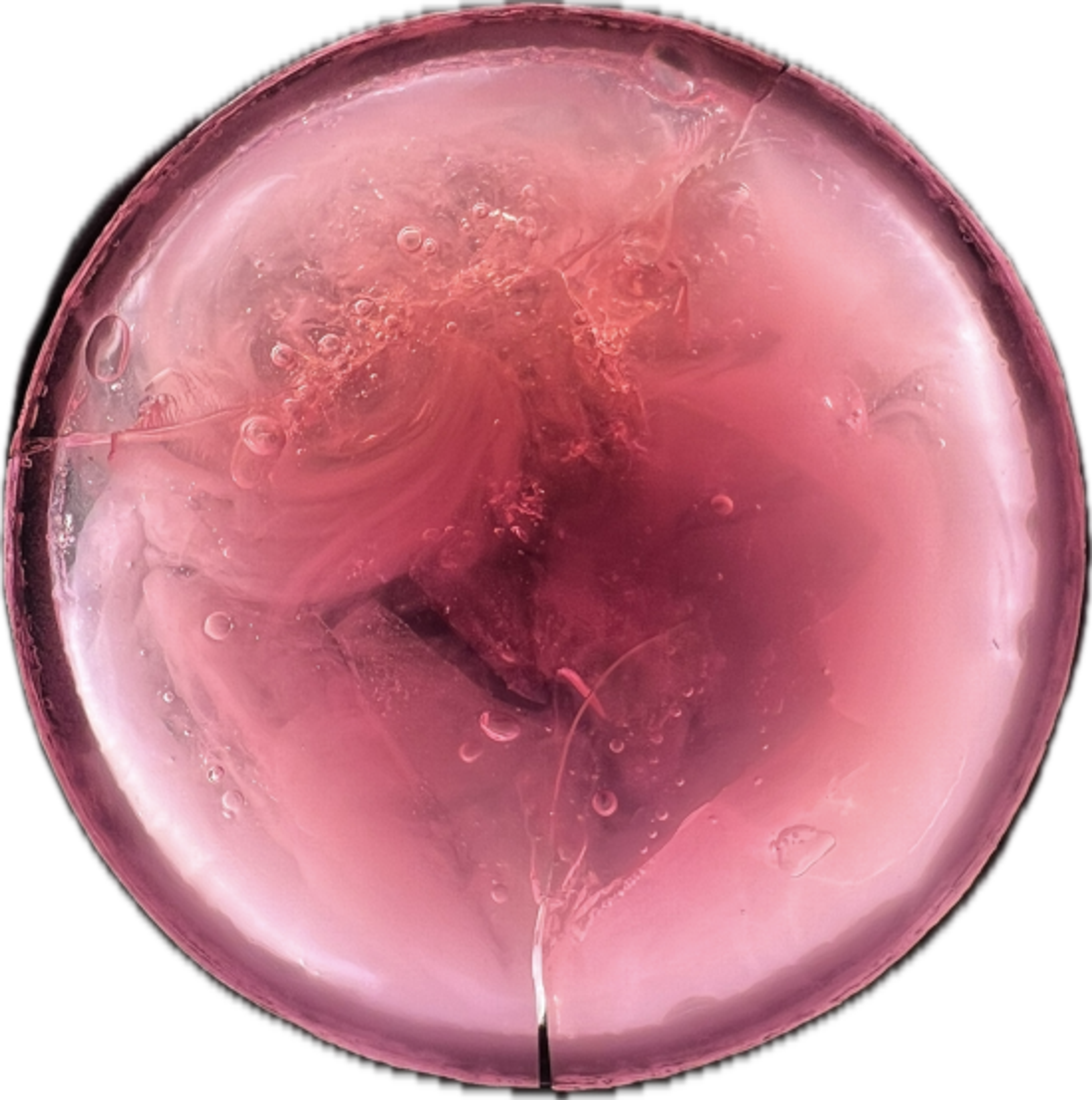 Image 15 from Moonies