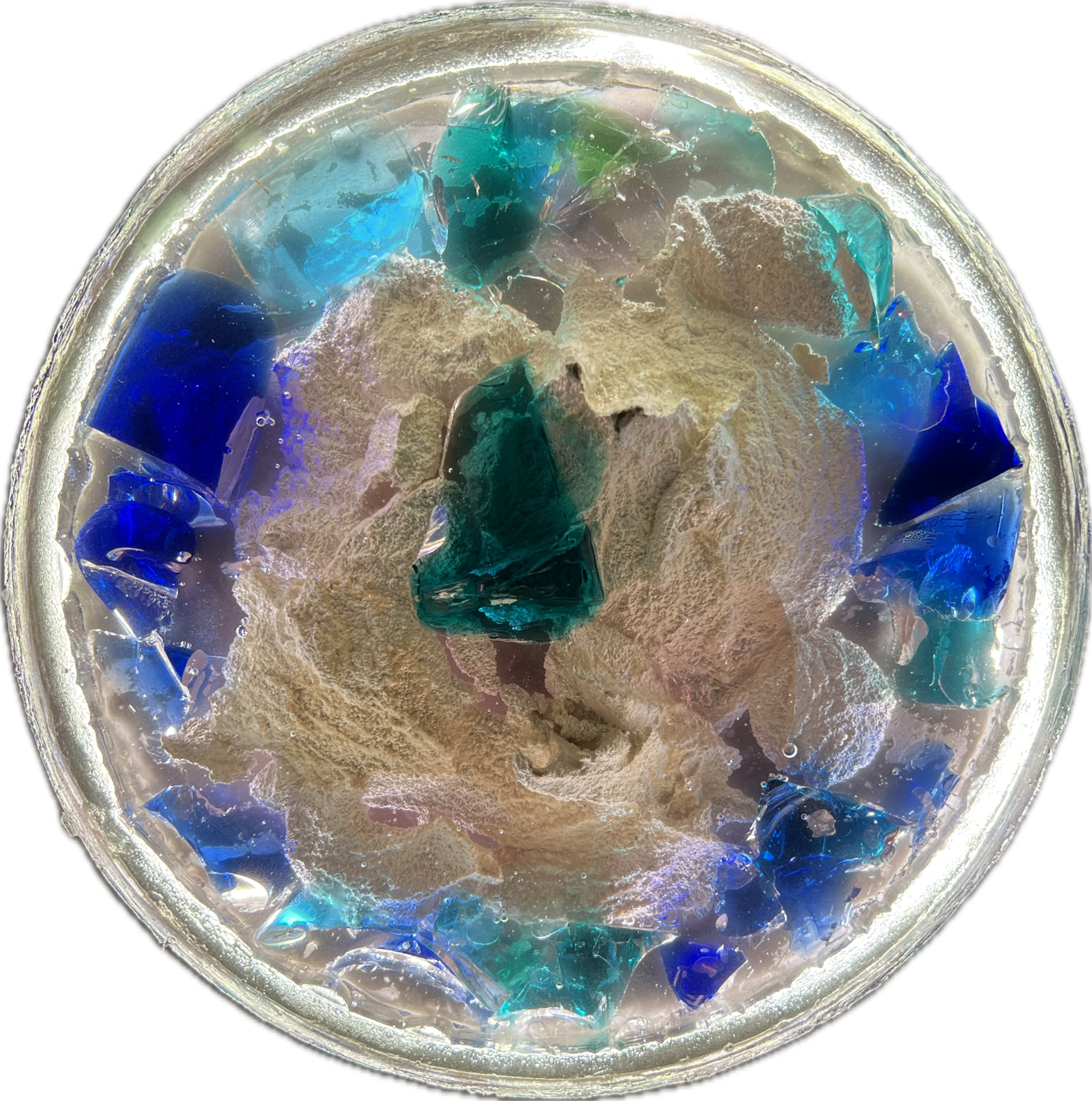 Image 10 from Moonies