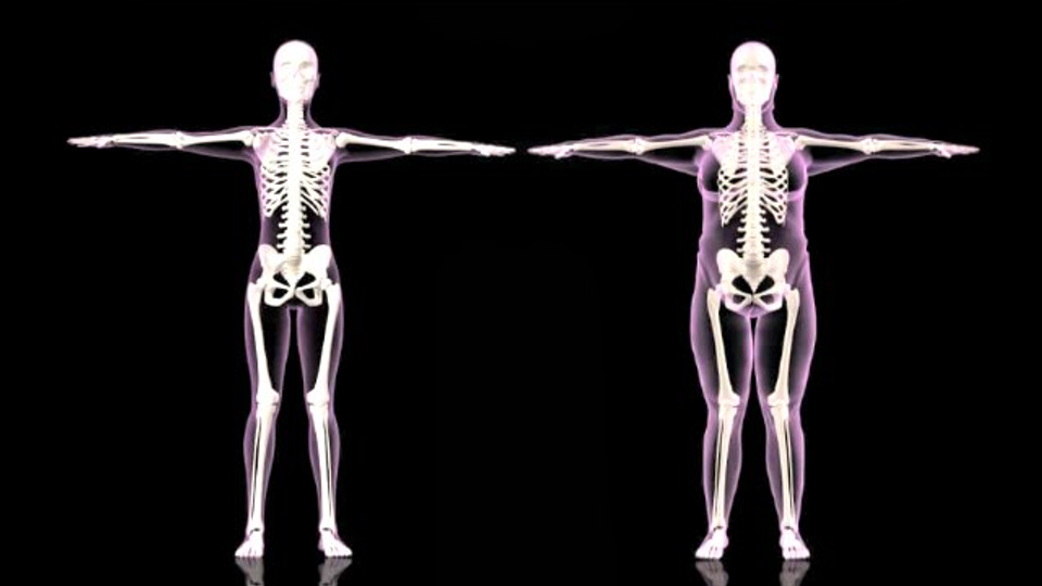 Agonistas, Poliagonistas e massa magra: talvez estejamos olhando para a pergunta errada