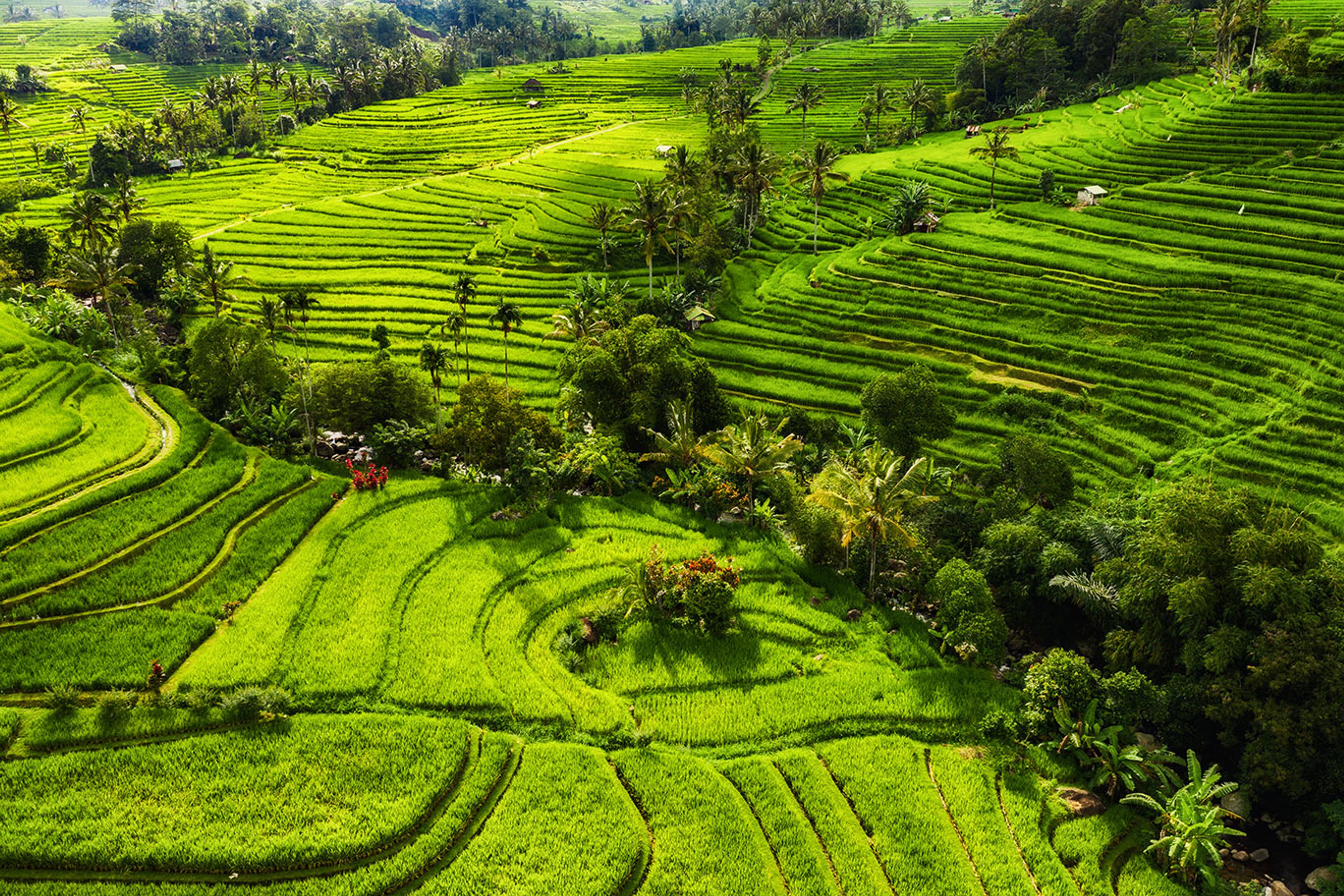 Preserving Indonesia’s land records