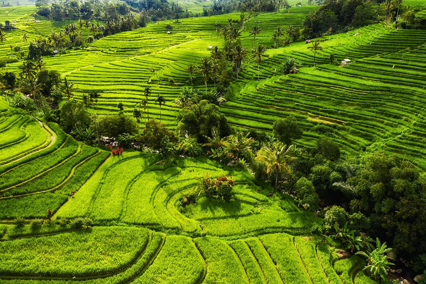 Preserving Indonesia’s land records