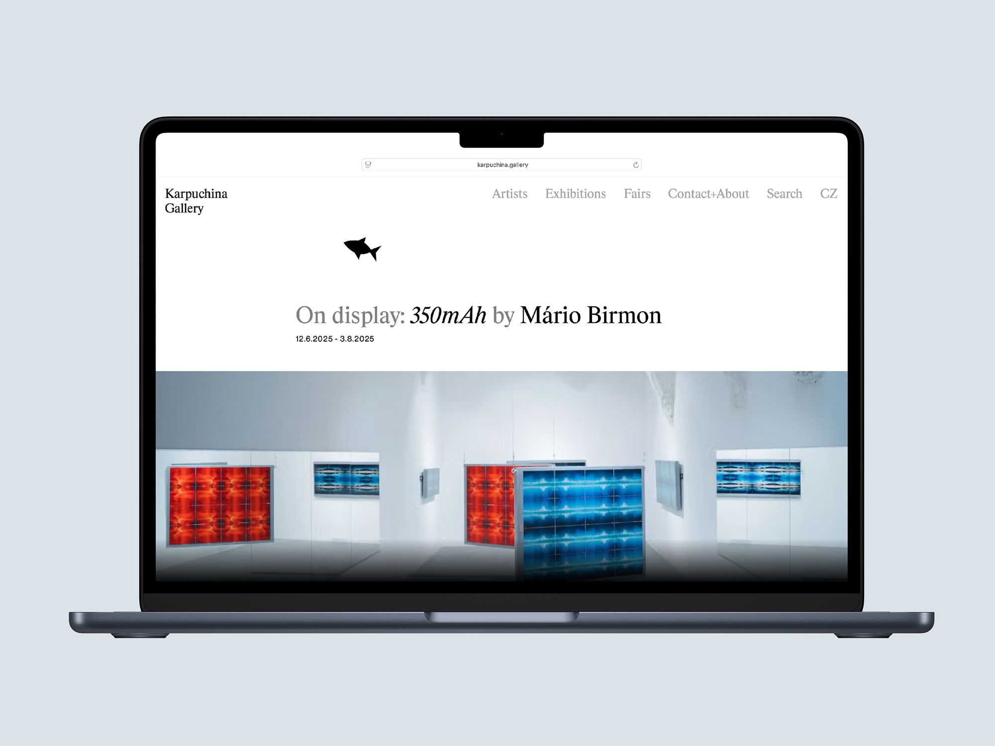 Karpuchina Gallery – Project Cover Image