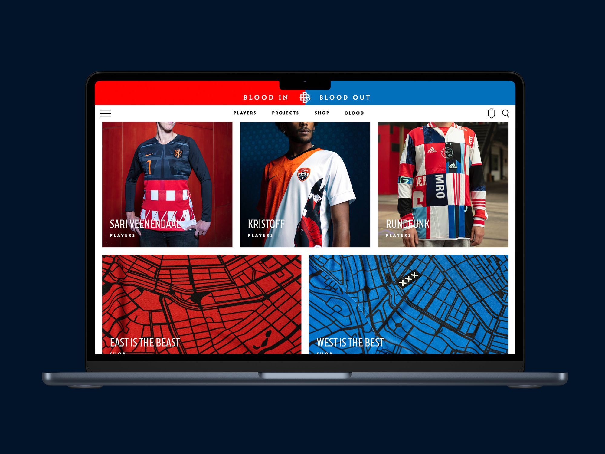 Blood in Blood out – Project Cover Image