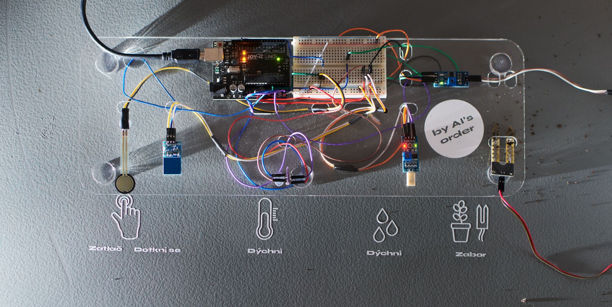 By AI's Order – Project Cover Image