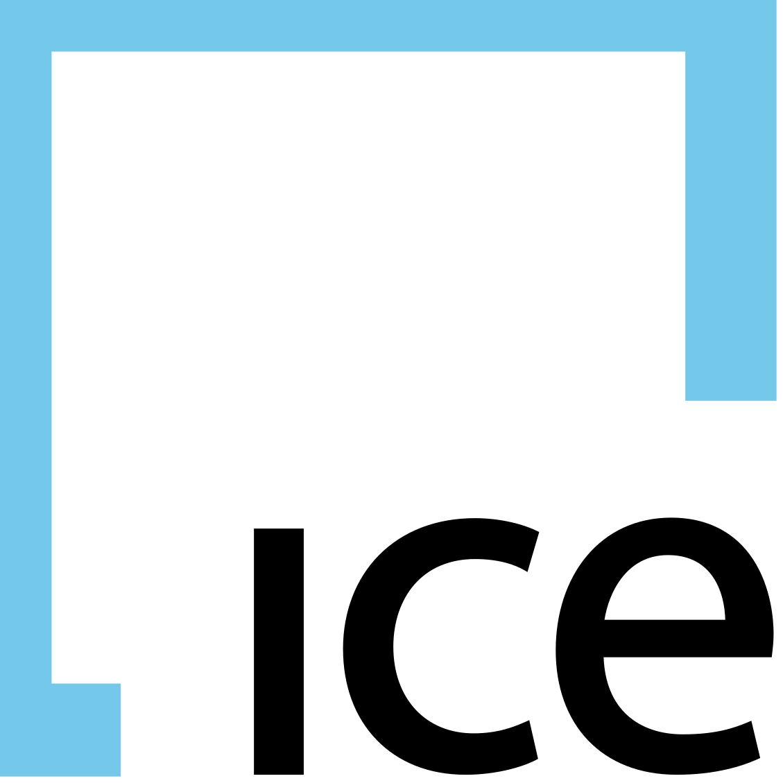 Intercontinental Exchange Inc logo