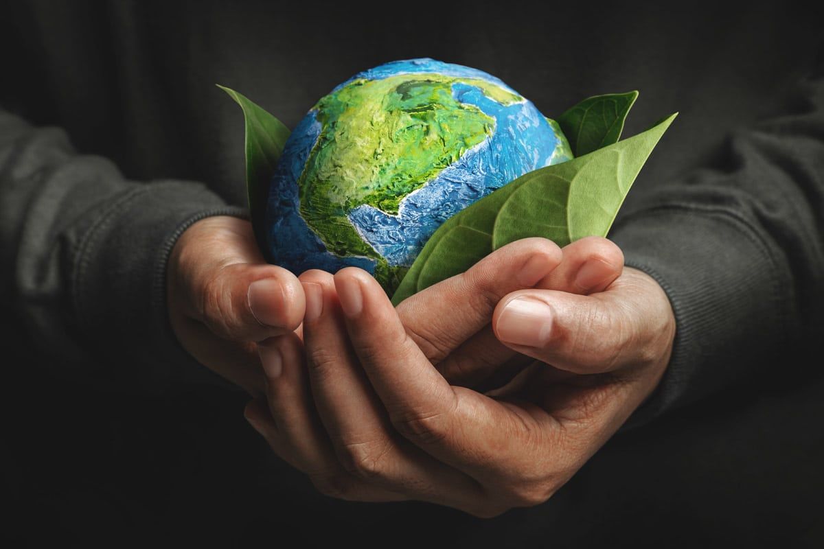 H&M, Inditex Among Brands Committing to Sourcing Alternative Fibres