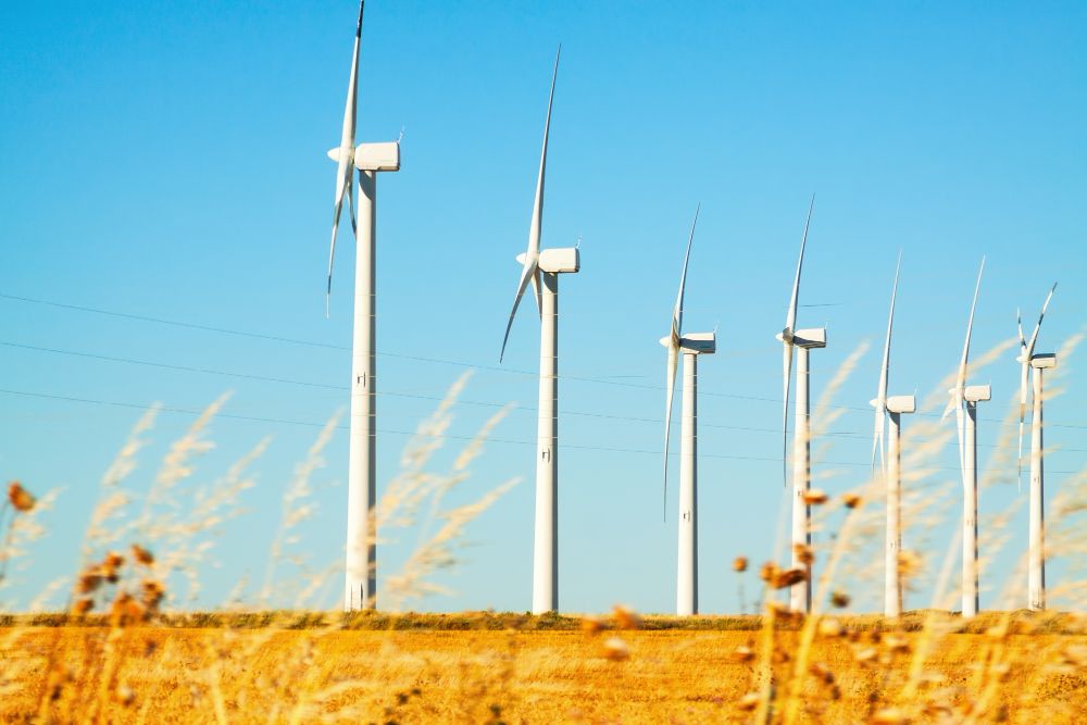 EIB, DB Offer Loans to Mid-Caps for Green Projects