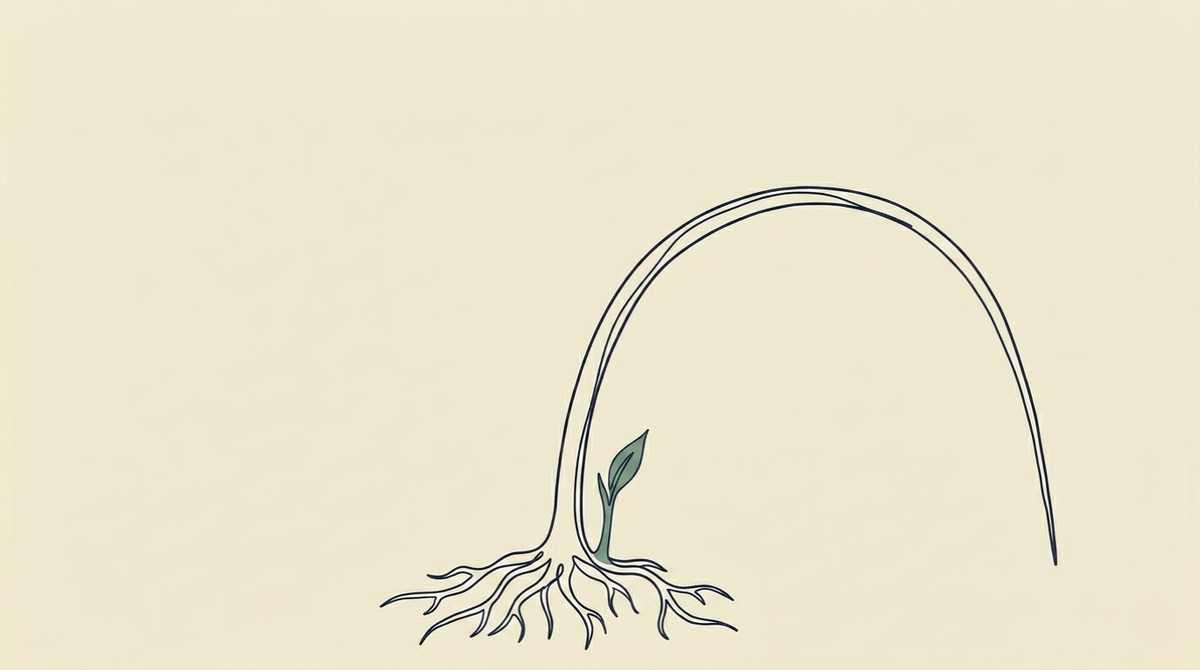 Burnout Is A Warning Sign, Not a Weakness - A single plant stem, rooted at the base of the frame, bends dramatically under its own sustained weight — curving far over to one side, nearly horizontal, the tip almost touching the ground. The stem is not broken. The roots hold. But the arc of the bend is extreme, the posture of something that has been under pressure for a long time. At the very base of the stem, where it meets the ground, a single small new shoot emerges — just beginning, unhurried, pointing upward. It does not know about the bent stem above it. It is simply the next thing.