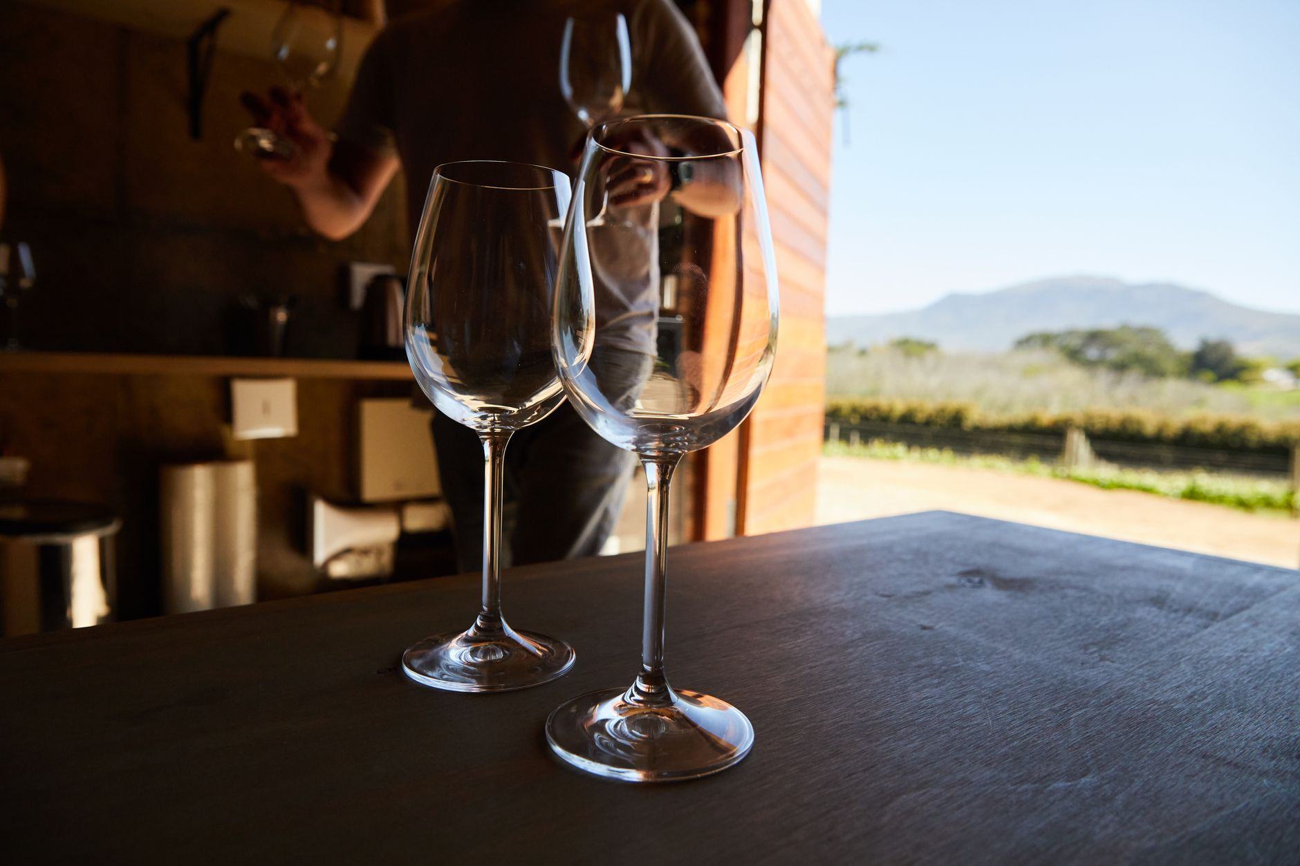 Two wine glasses set against a sunlit vineyard — Nashik valley winery, Nashik · Webzenia SEO case study