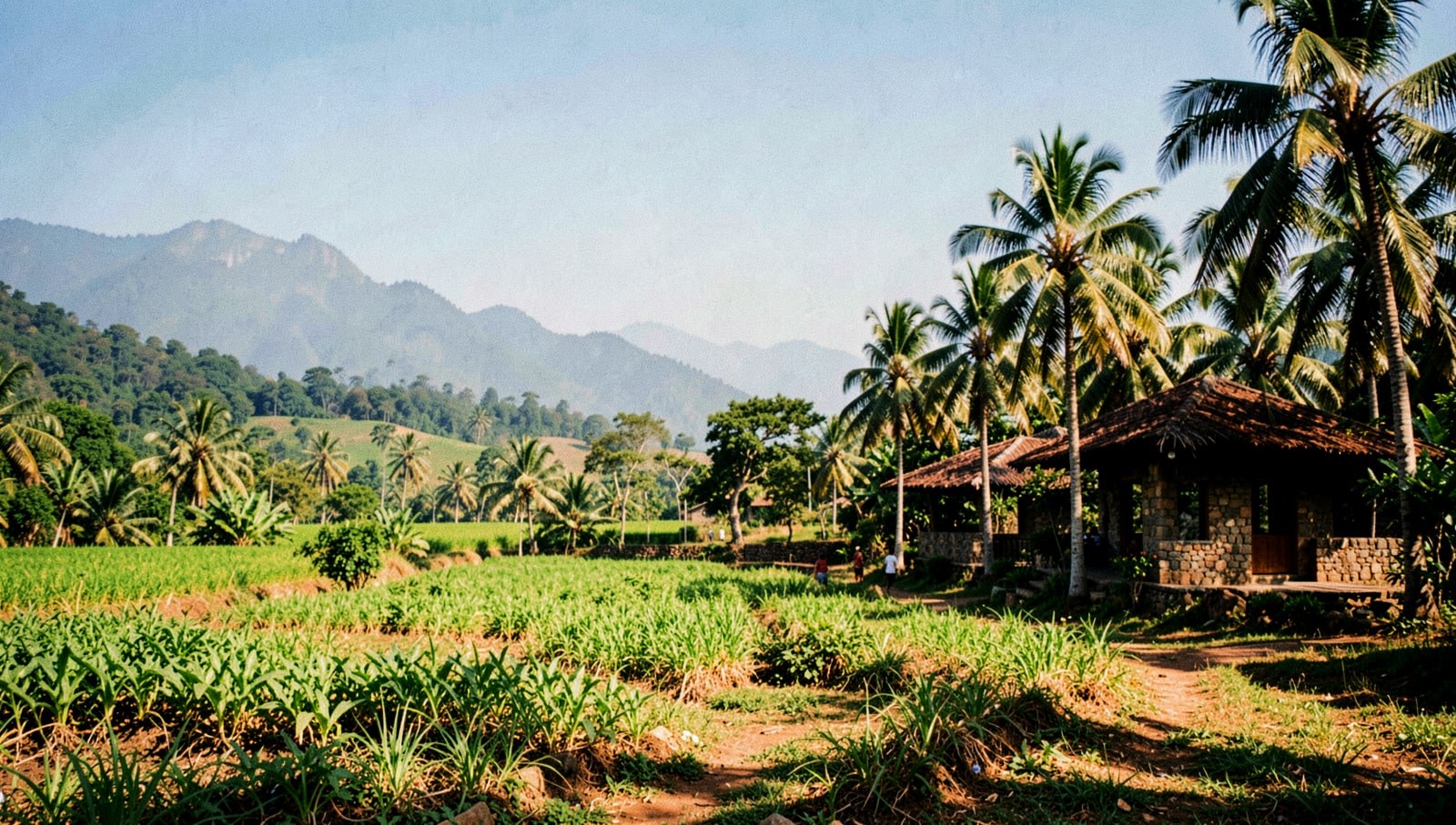 A Sahyadri hillside eco-resort in green farmland outside Satara, Maharashtra · Webzenia Web Design case study