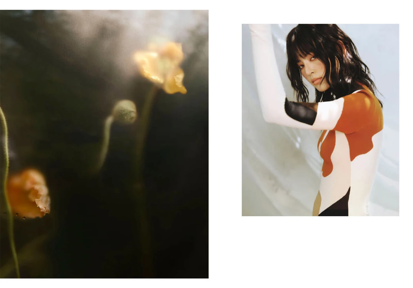 Miu Harit Portfolio