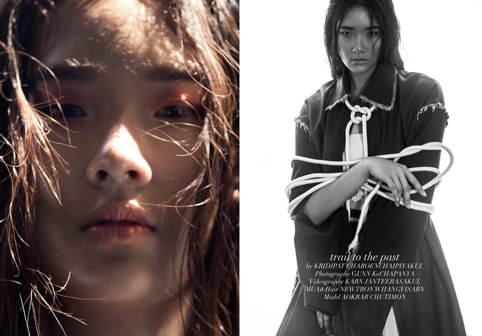 Newtron Editorial
