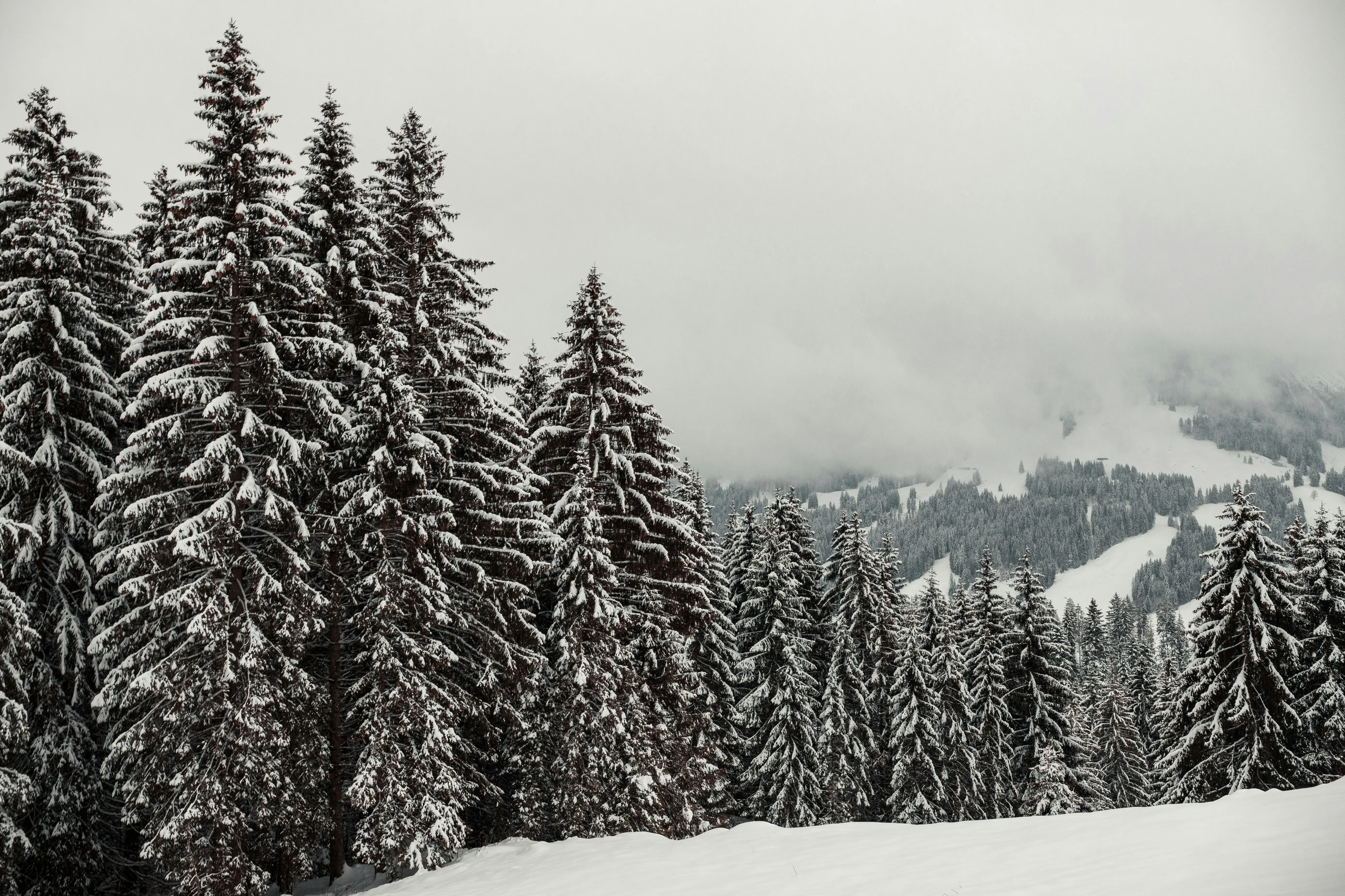 Oberwiesenthal