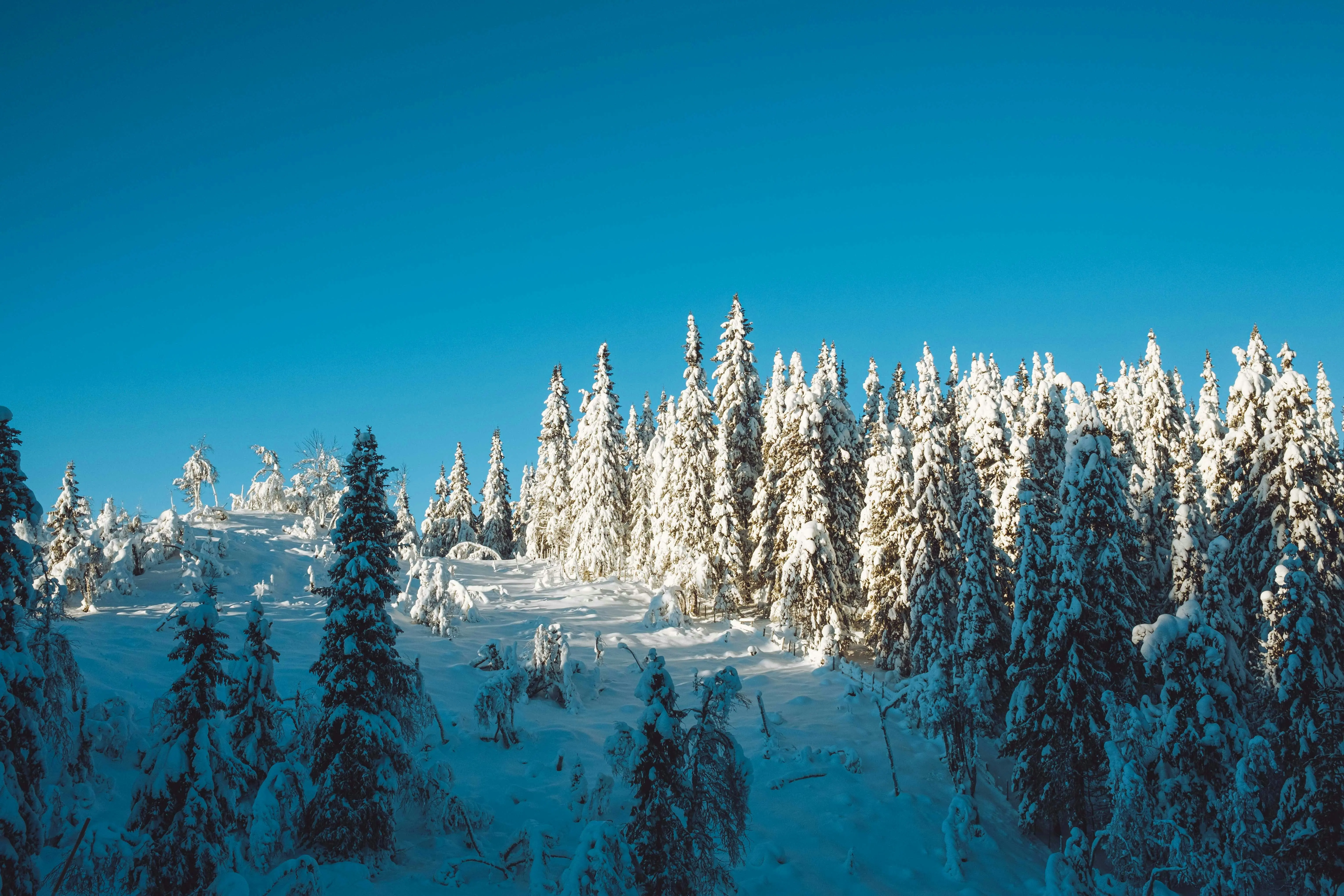 Kvitfjell
