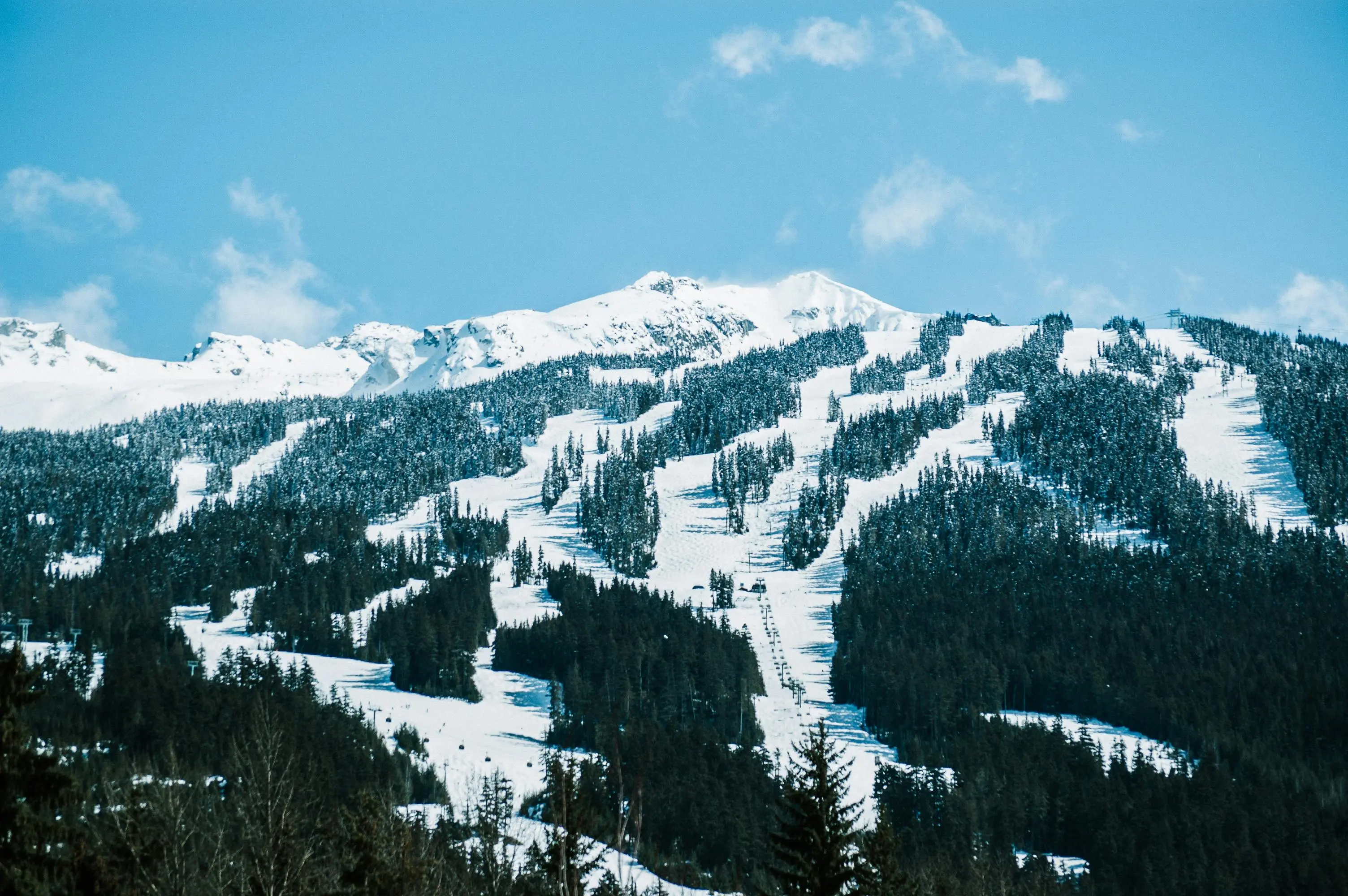 Whistler