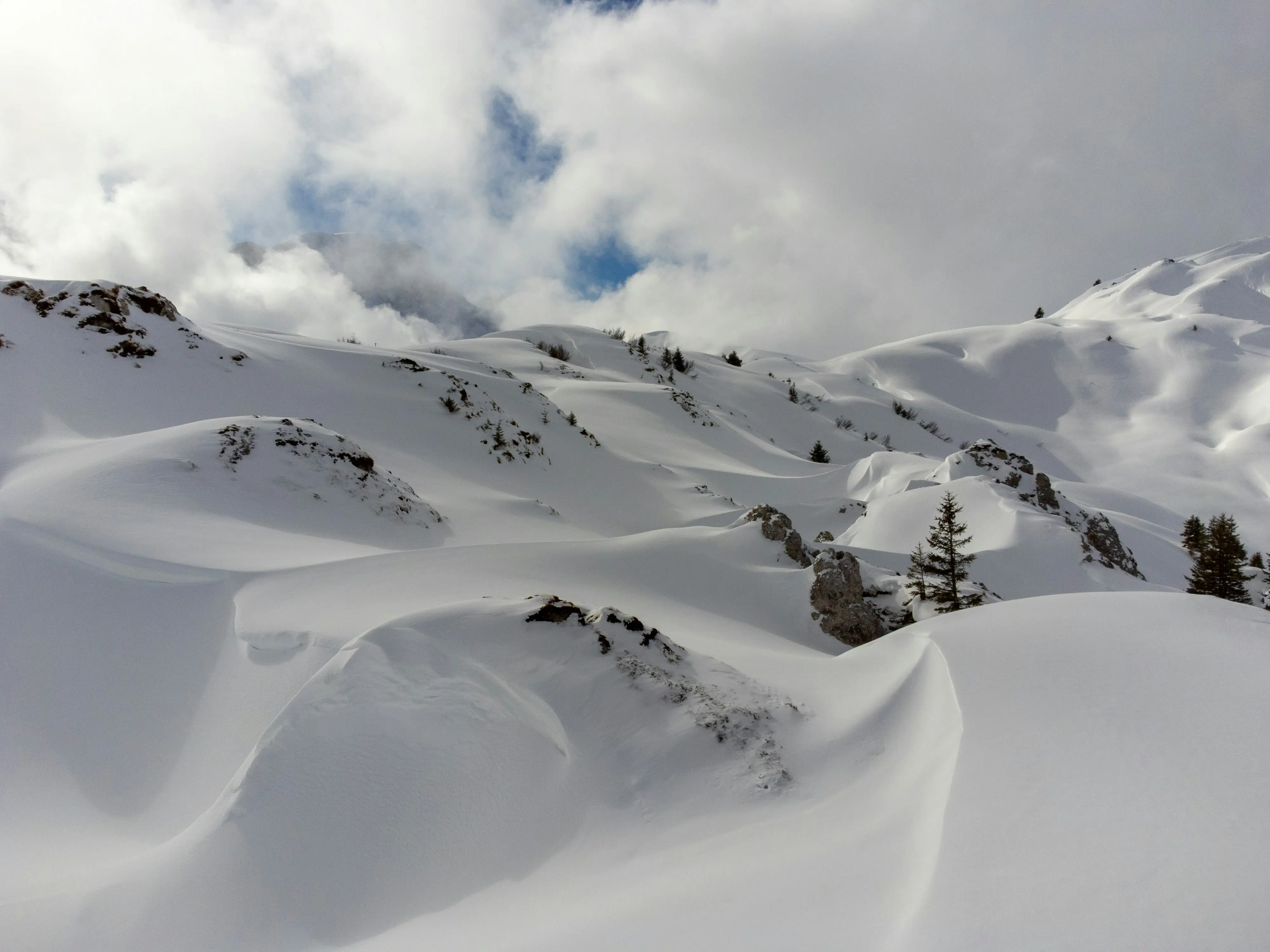 Lenk