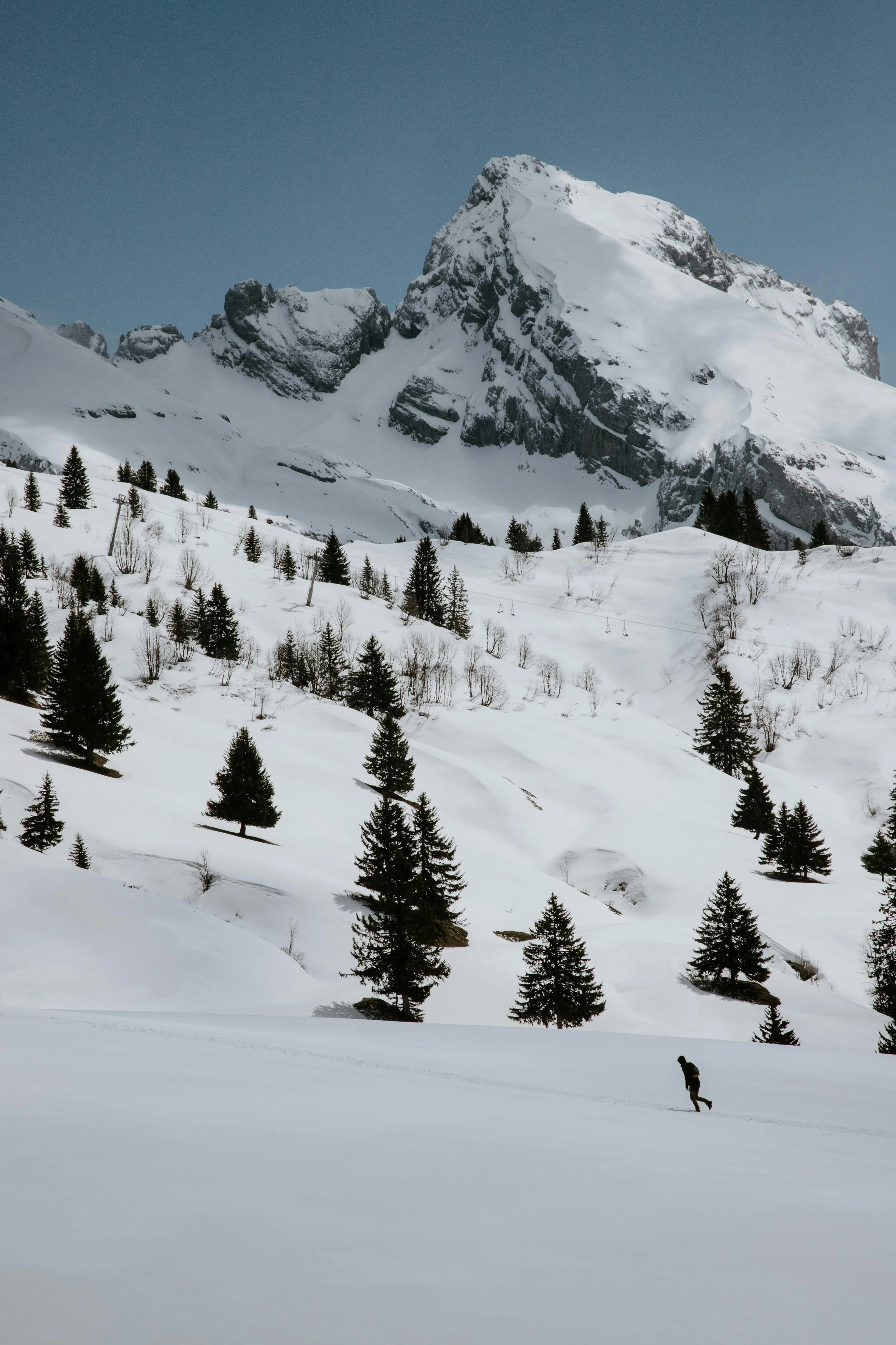 Le Corbier