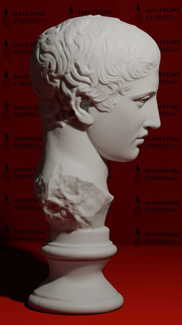 Discophoros