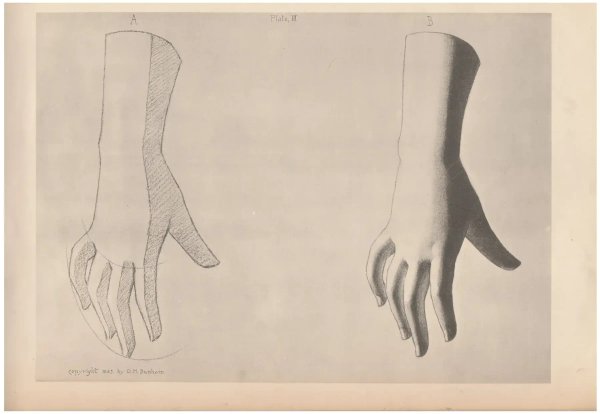 Bargue drawing 20