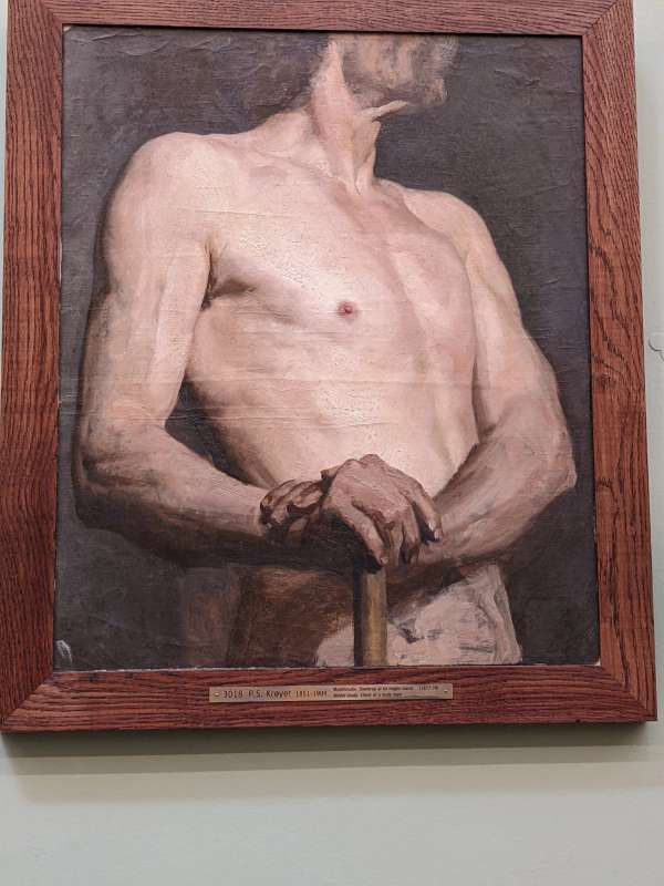 Peder Kroyer Academic Figure