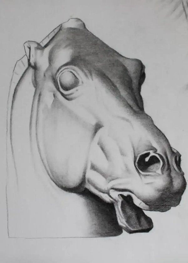 Bargue drawing 18