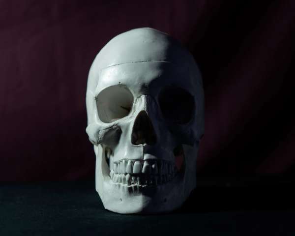 Skull Photos