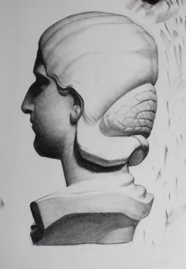 Bargue drawing 16