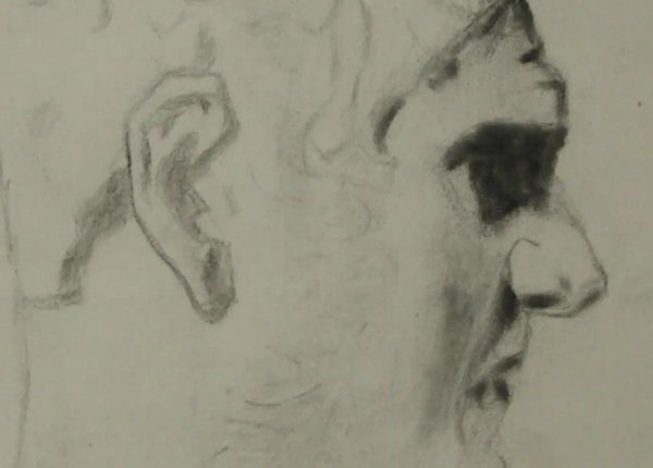Bargue drawing 15