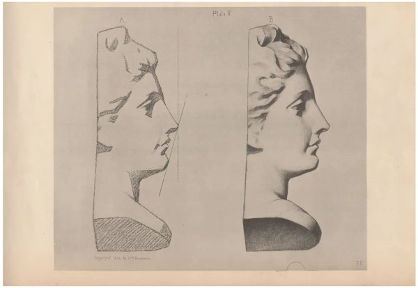 Bargue drawing 22